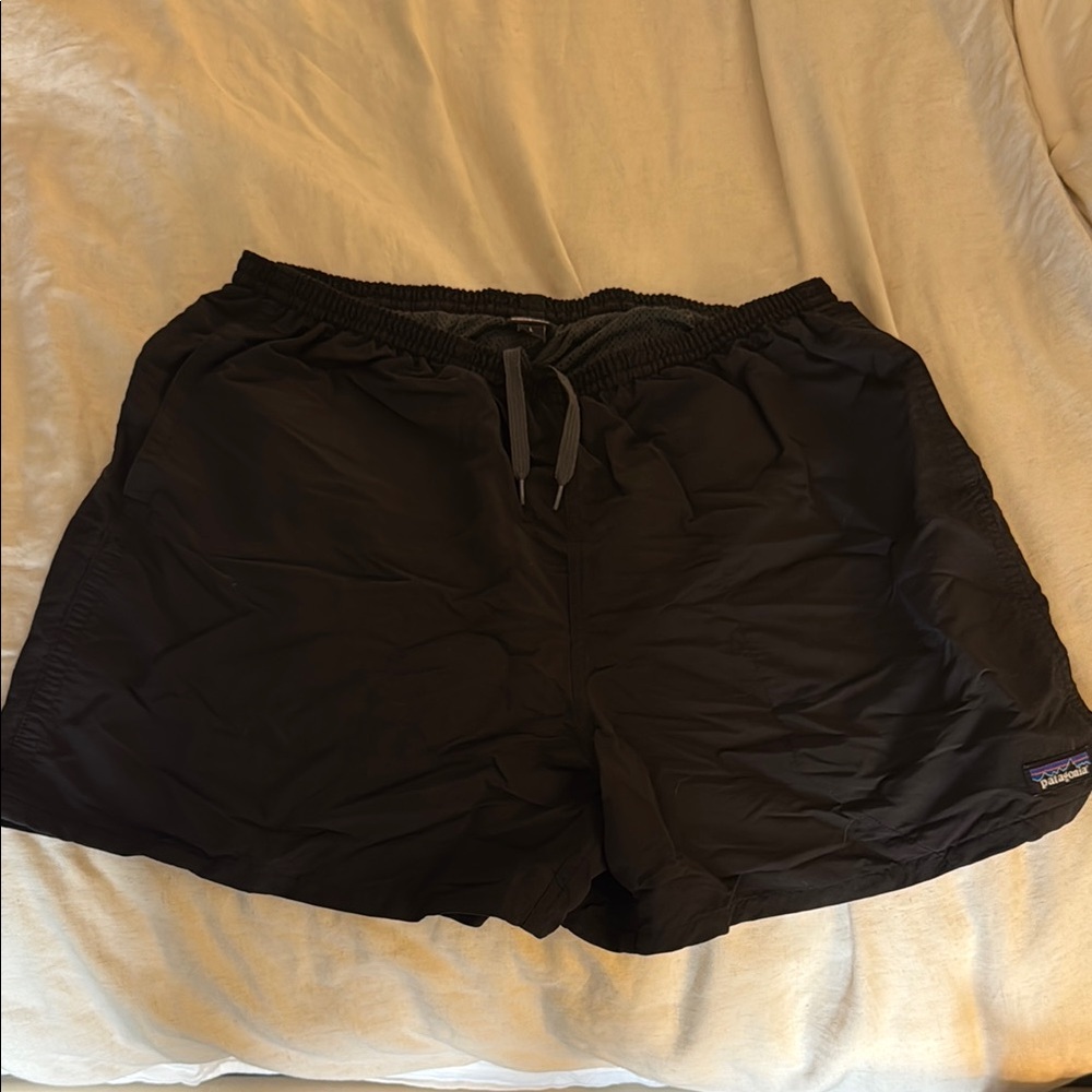 Patagonia Men's Shorts